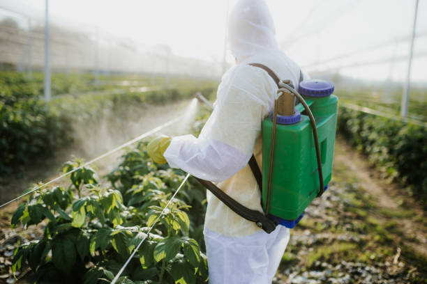  Richmond, KY Pest Control Pros